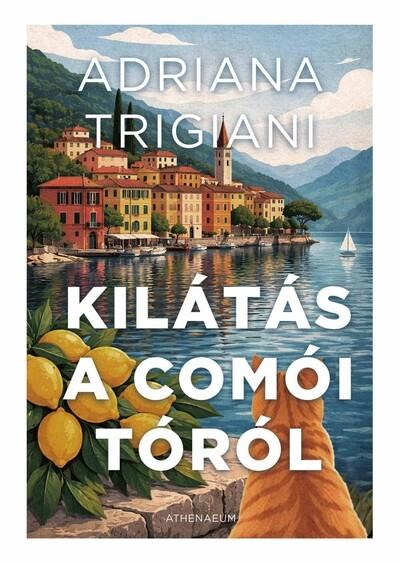 Kilátás a Comói-tóról