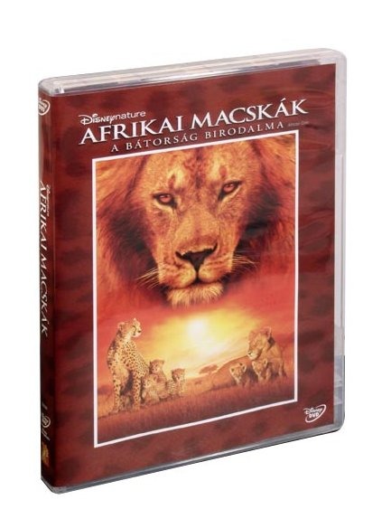 Afrikai macskák DVD