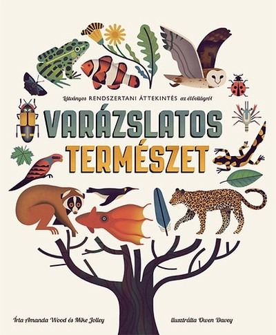 Varázslatos természet /Látványos rendszertani áttekintés az élővilágról