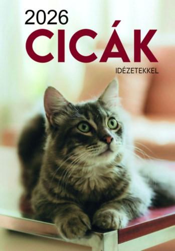 Cicák falinaptár - 2026