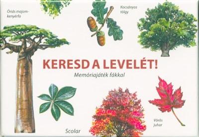 Keresd a levelét! - Memóriajáték fákkal