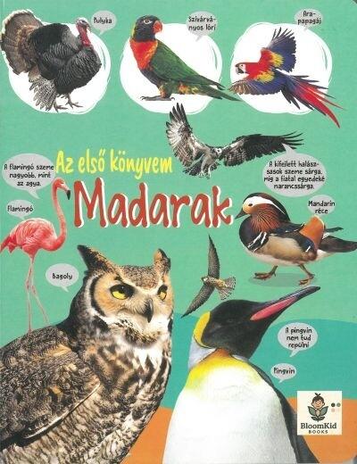 Az első könyvem - Madarak