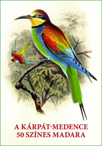 A Kárpát-medence 50 színes madara - Madarak egész oldalas képei és leírásai