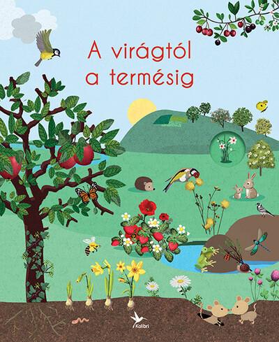 A virágtól a termésig - A természet körforgása