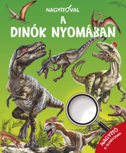 Nagyítóval - A dinók nyomában - Nagyítóval...
