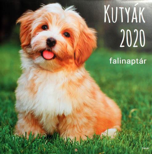 Kutyák falinaptár 2020