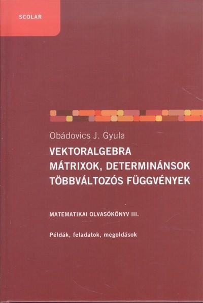 Vektoralgebra, mátrixok, determinánsok, többváltozós függvények /Matematika olvasókönyv III.