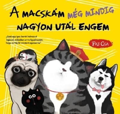 A macskám még mindig nagyon utál engem - Macska és Kutya 3.