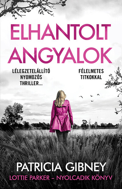 Elhantolt angyalok - Lottie Parker 8.