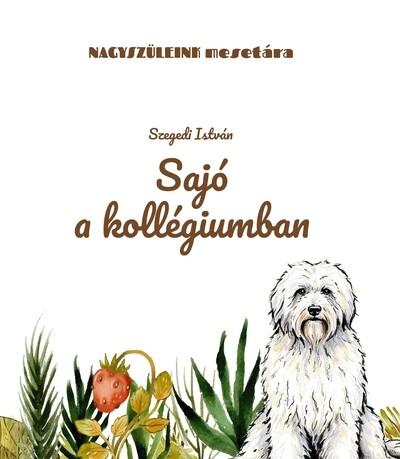 Sajó a kollégiumban - Nagyszüleink mesetára Sajó a kollégiumban - Nagyszüleink mesetára