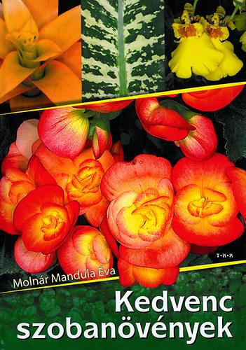 Kedvenc szobanövények - Ajándék!