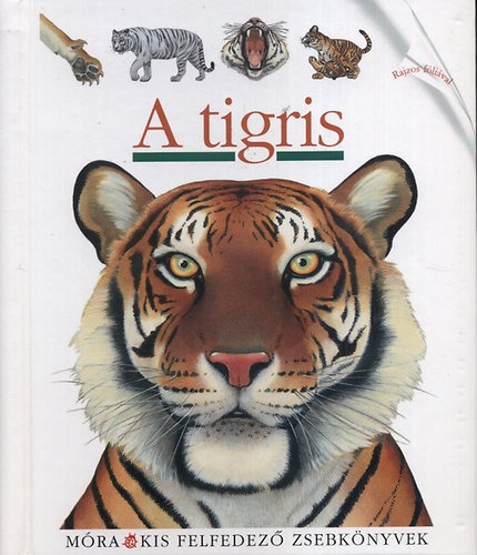 A tigris - Kis felfedező zsebkönyvek 