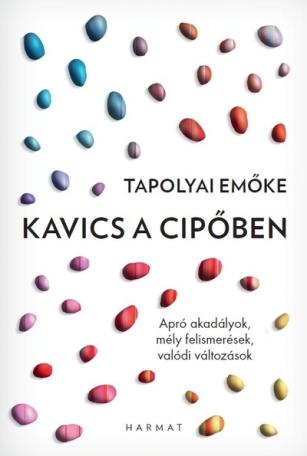 Kavics a cipőben - Apró akadályok, mély felismerések, valódi változások