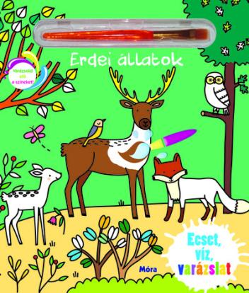 Ecset, víz, varázslat - Erdei állatok