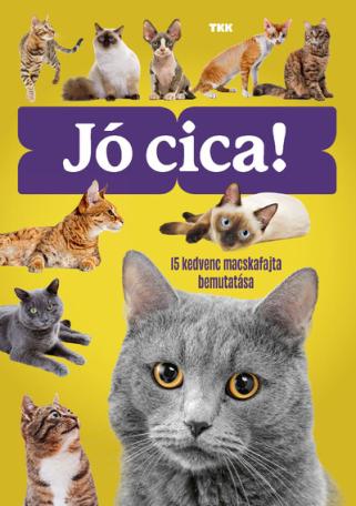 Jó cica! - 15 kedvenc macskafajta bemutatása
