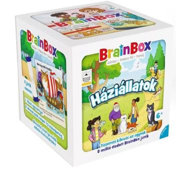 Háziállatok - Brainbox