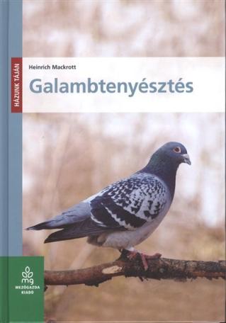 Galambtenyésztés /Házunk táján