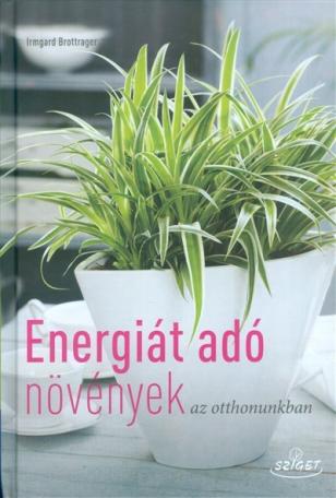 Energiát adó növények az otthonunkban Energiát adó növények az otthonunkban