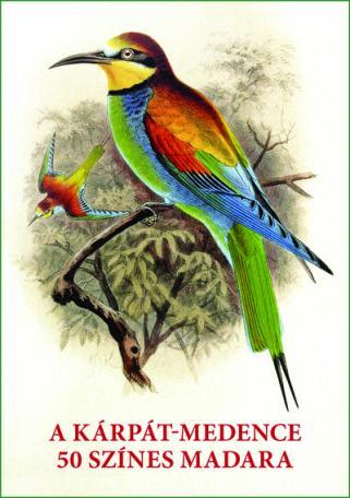 A Kárpát-medence 50 színes madara - Madarak egész oldalas képei és leírásai