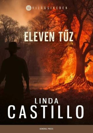 Eleven tűz - Világsikerek