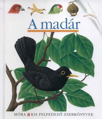 A madár - Kis felfedező zsebkönyvek 