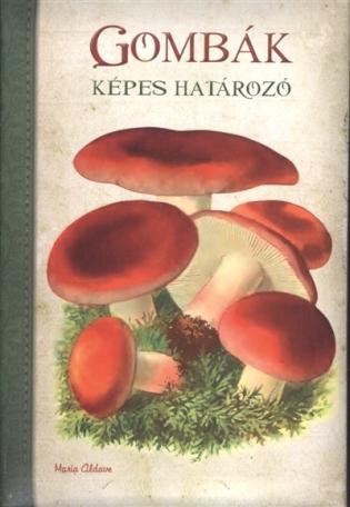 Képes határozó : Gombák