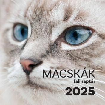 Macskák falinaptár 2025