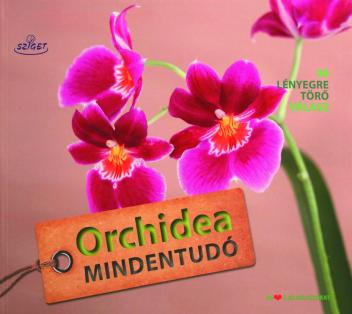Orchidea mindentudó