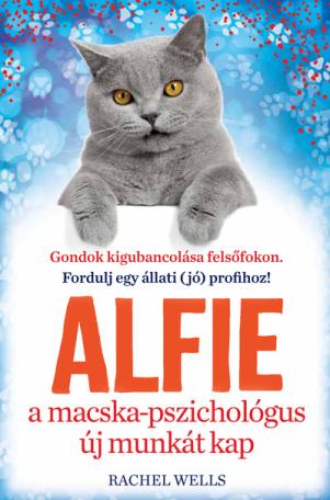 Alfie új munkát kap - Tanulj önismeretet egy bölcs cicától!