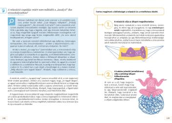 Stresszcsökkentés helyett hasznosítsd a stresszt