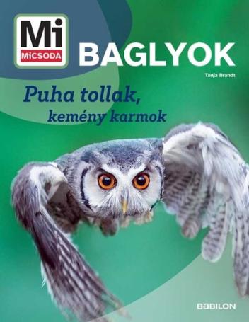 Baglyok - Puha tollak, kemény karmok - Mi MICSODA Új generáció